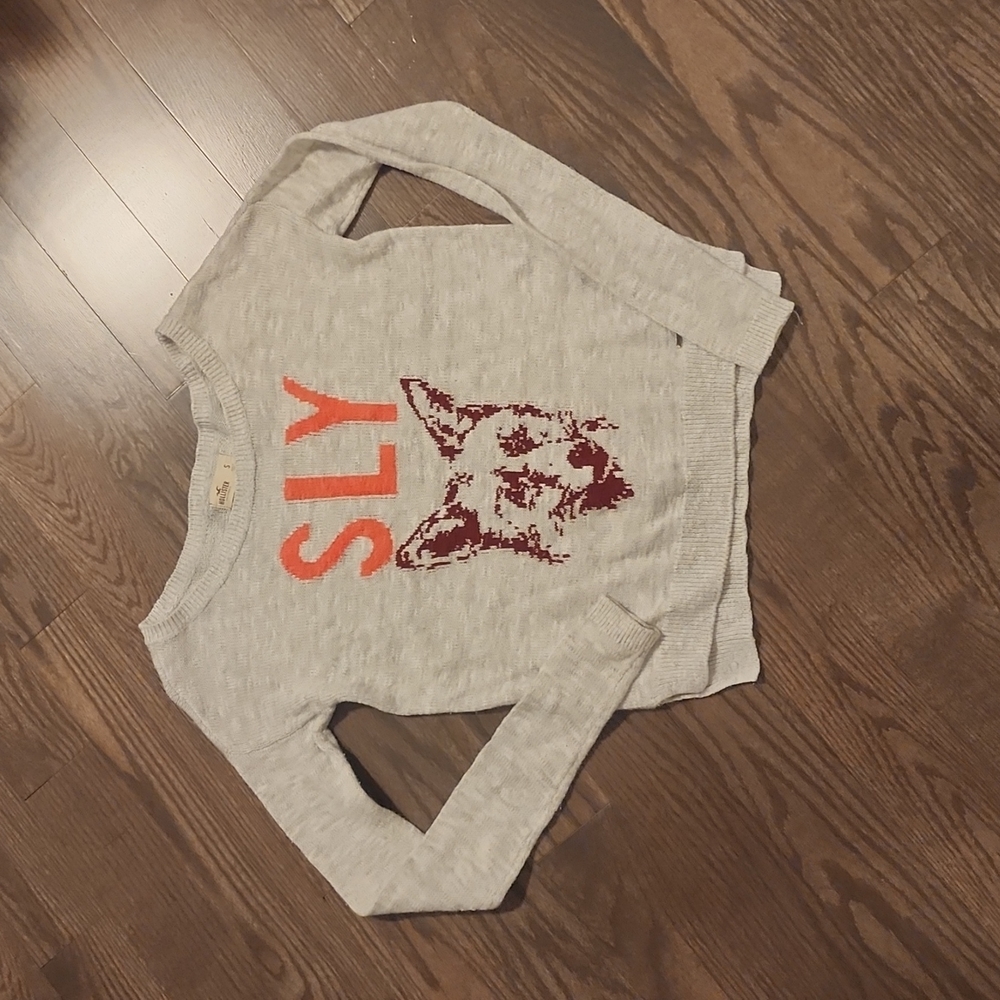Hollister Sweater